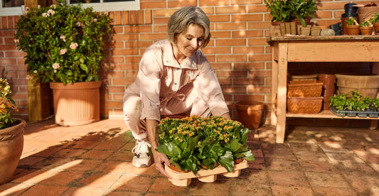 Muscle Mass Can Predict How You Age: Here’s Why (and How) To Build It